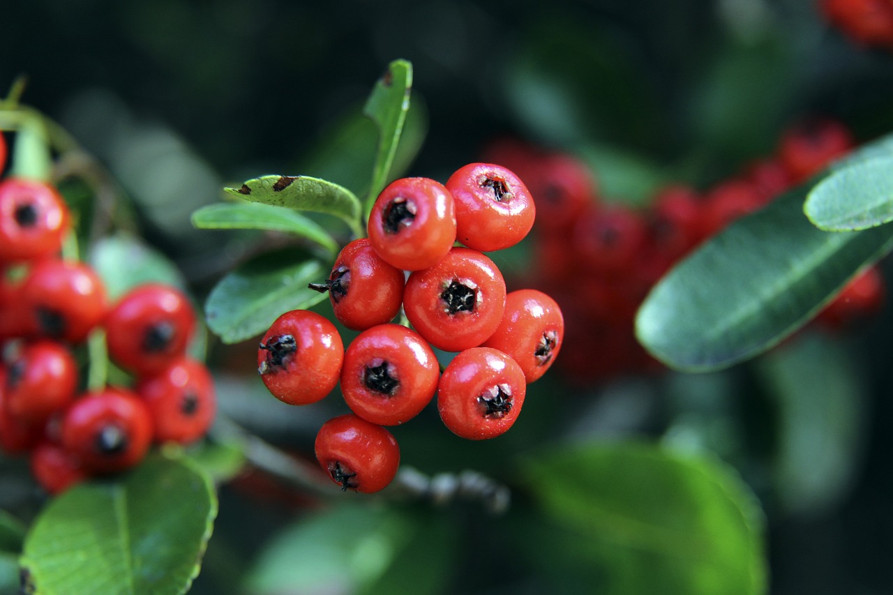 比赛走向预 比赛走向预