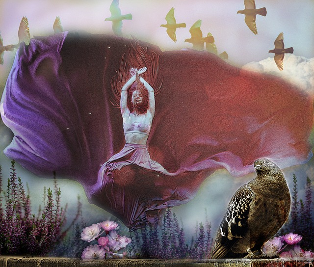 库里在进攻 库里在进攻