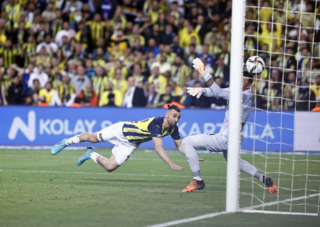 亮点之一 亮点之一